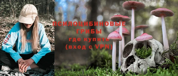 дживик Ладушкин