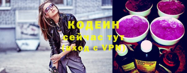 хмурый Лиски