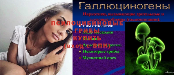 ГАЛЛЮЦИНОГЕННЫЕ ГРИБЫ Елизово