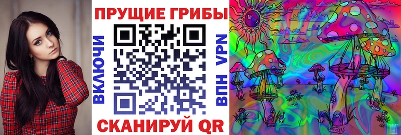 где купить Краснослободск Псилоцибиновые грибы мицелий